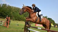 Wie gefährlich ist Reitsport für Pferde? (Symbolfoto)
