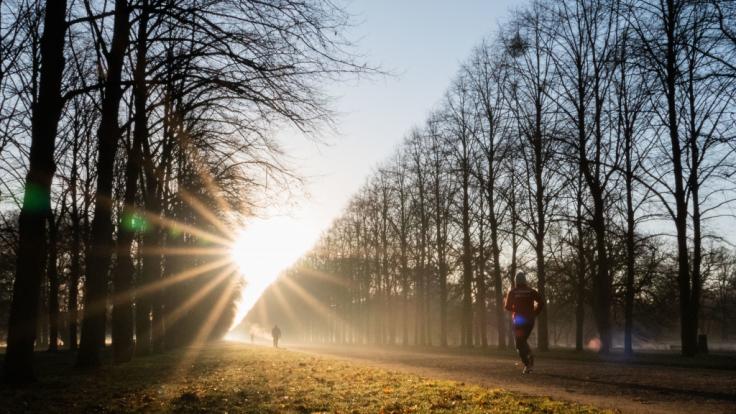Wetter Im Januar 2020 Aktuell Warmekeule Meteorologe Schockt