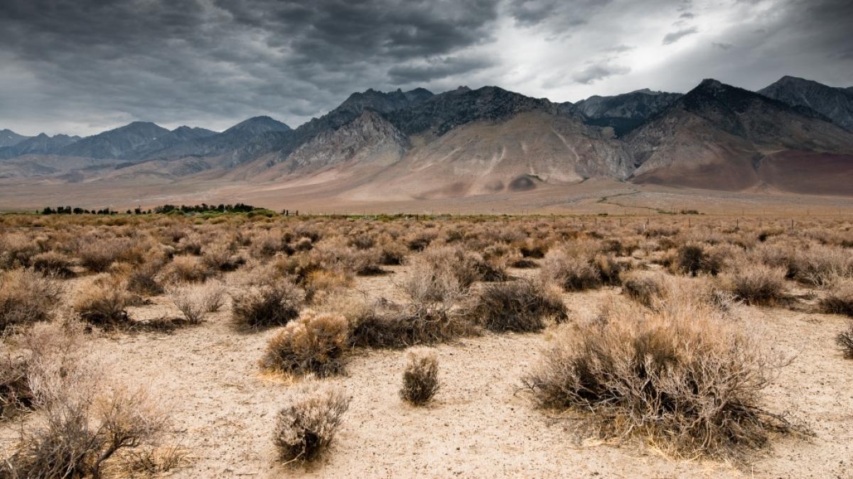 Die Polizei Nevadas hat in der W&uuml;ste nahe Las Vegas eine in Beton gegossene Frauenleiche gefunden. (Symbolbild) (Foto)