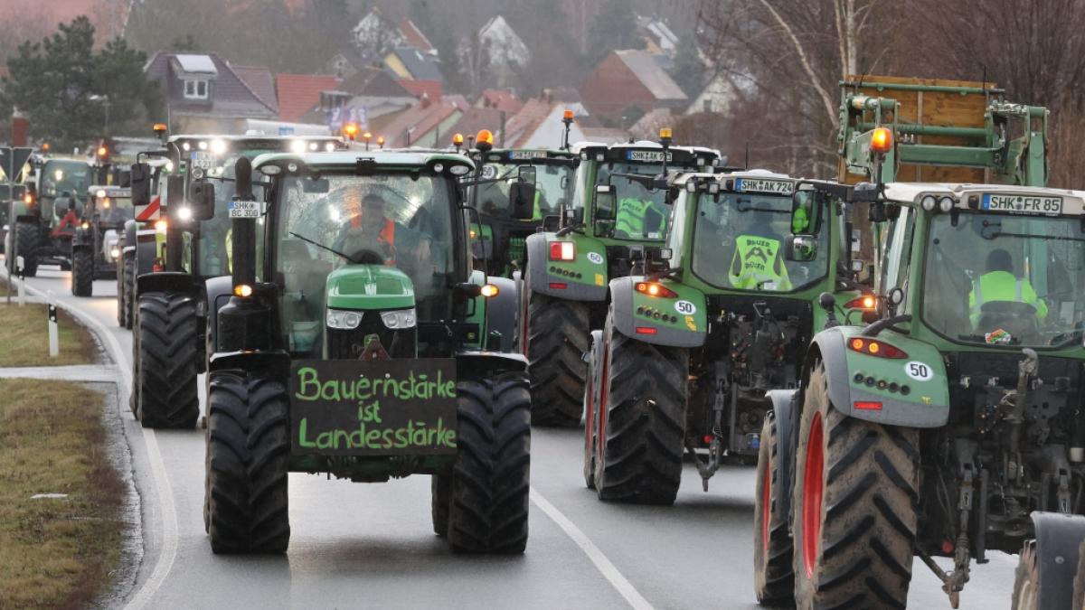 Ampel Regierung nimmt K&uuml;rzungen f&uuml;r Landwirte teils zur&uuml;ck. (Foto)