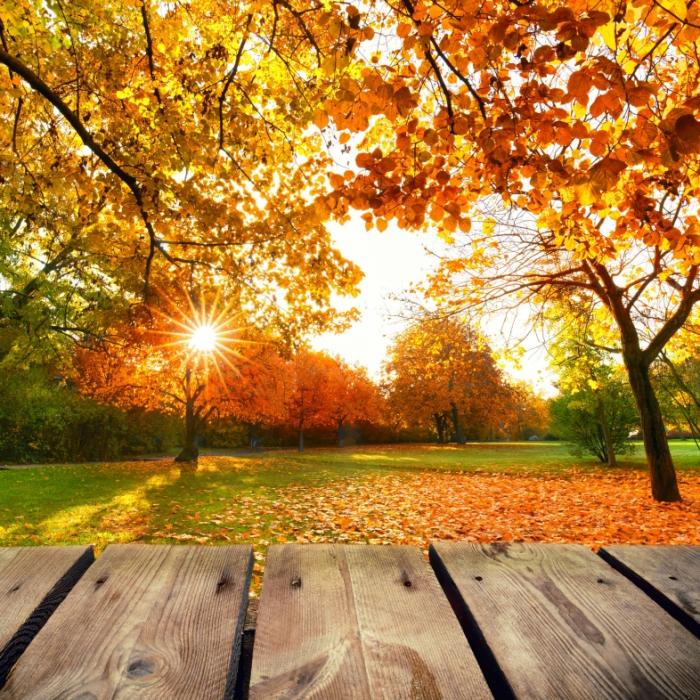 Tage werden wieder wärmer! Kommt der Altweibersommer?