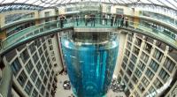 Das 16 Meter hohe Aquarium ist explodiert.