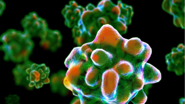 In Großbritannien haben sich zwei Menschen mit dem Affenpocken-Virus infiziert.