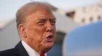 Donald Trump sieht sich in der Epstein-Affäre mit neuen Vorwürfen durch seine entfremdete Nichte Mary konfrontiert.