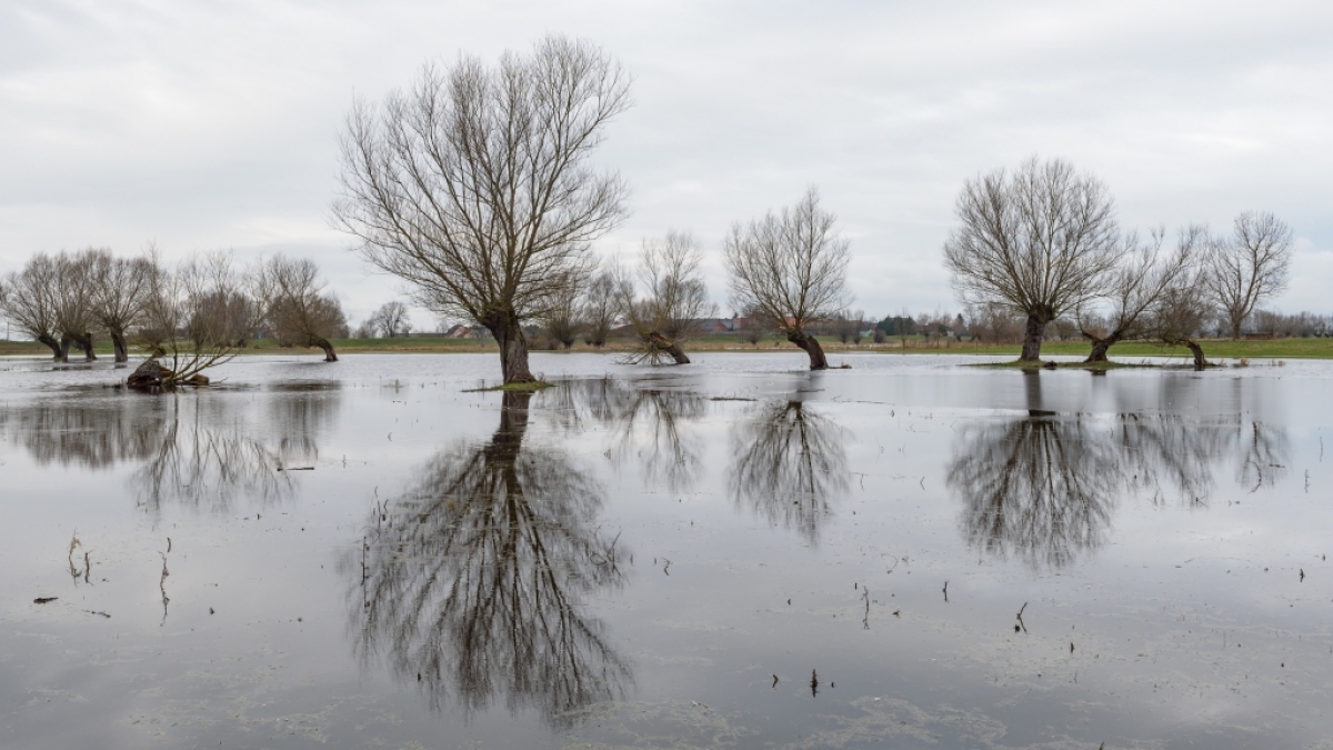 Drohen im Februar 2019 &Uuml;berschwemmungen? (Foto)