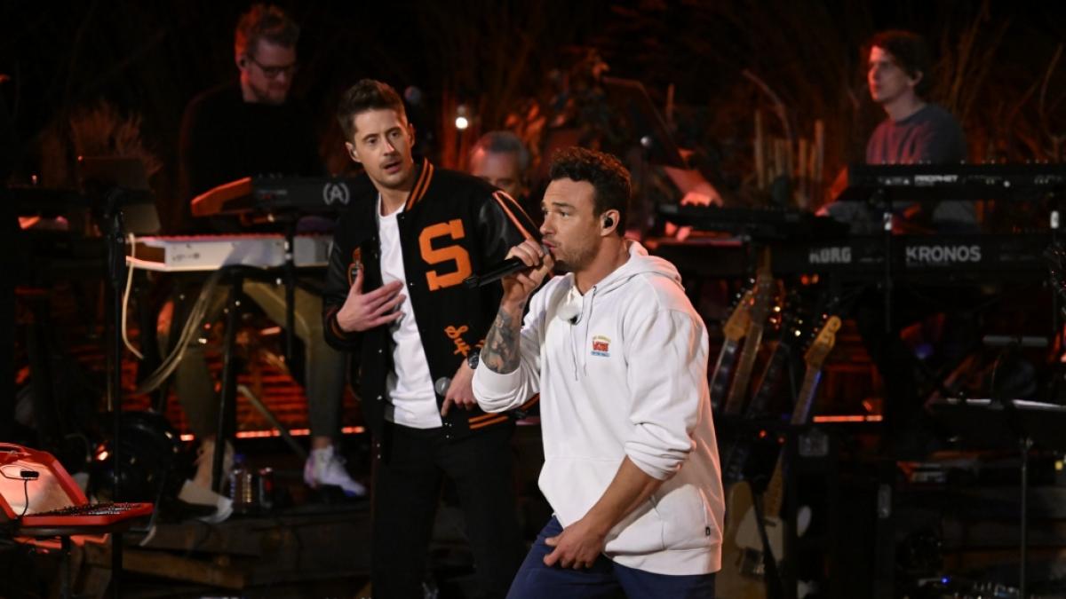 Vincent Stein (links) und Dag-Alexis Kopplin (rechts) mischen als Band SDP "Sing meinen Song" auf. (Foto)