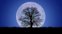 Der letzte Supermond des ganzen Jahres leuchtet im Mai.