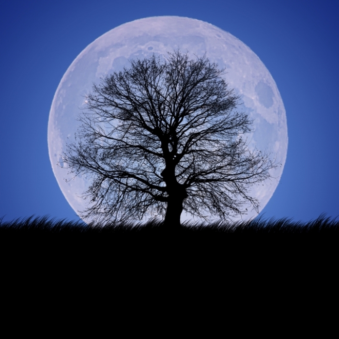 Mai-Wunder! Der letzte Supermond des Jahres