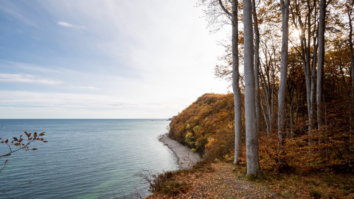 Herbst am Strand kann wundersch&ouml;n sein. (Foto)
