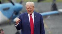 Mitten im Wahlkampf erhält Donald Trump plötzliche positive Nachrichten. Buchmacher sehen ihn als klaren Favoriten bei der bevorstehenden US-Wahl im November.