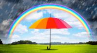 Wie wird das Wetter?