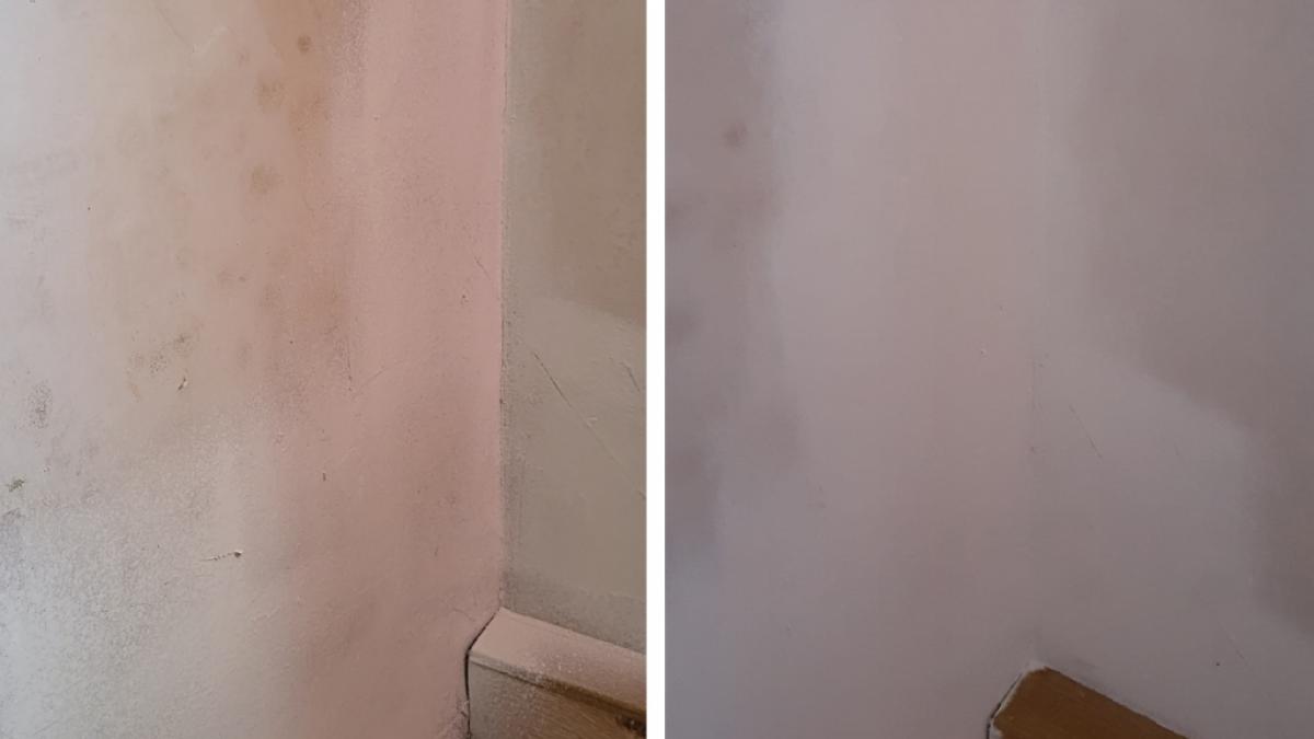 Die betroffene Wand nach dem Einsatz von Schimmelschock 5.0: links nach dem ersten Farbauftrag, rechts nach dem zweiten Farbauftrag. (Foto)