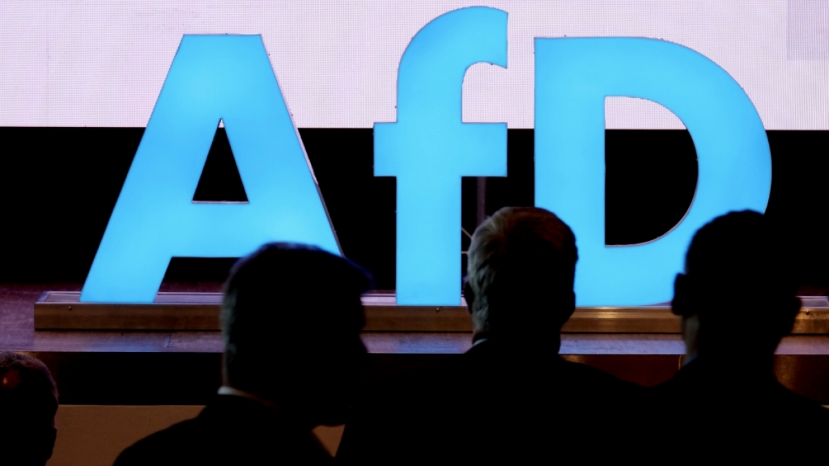 Die AfD erhielt eine Gro&szlig;spende &uuml;ber 35.000 Euro (Symbolbild). (Foto)
