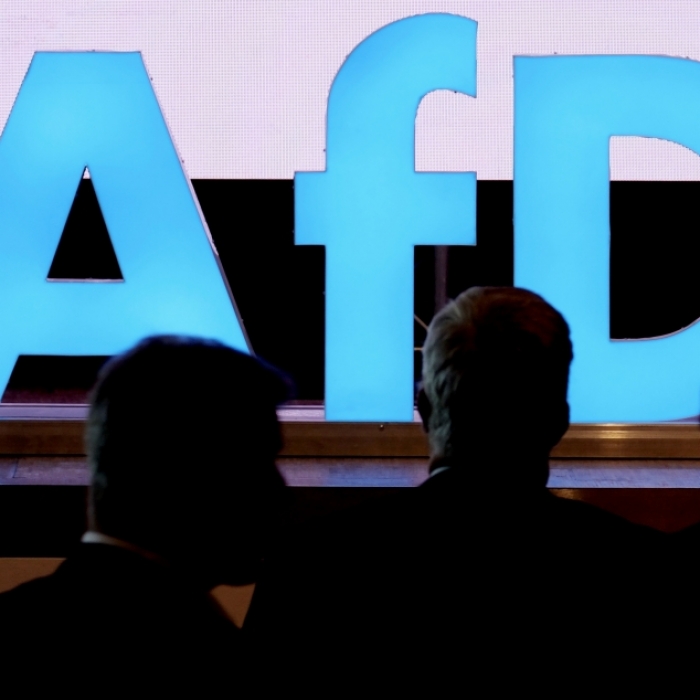 Die AfD erhielt eine Großspende über 35.000 Euro (Symbolbild).