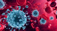 Die Coronavirus-Variante BA.2.86, auch als Pirola bekannt, ist offiziellen Nachweisen zufolge auch in Deutschland angekommen.