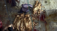 Schockierende Bilder aus China: Auch in diesem Jahr darf das Hundefleisch-Festival in Yulin wieder stattfinden.