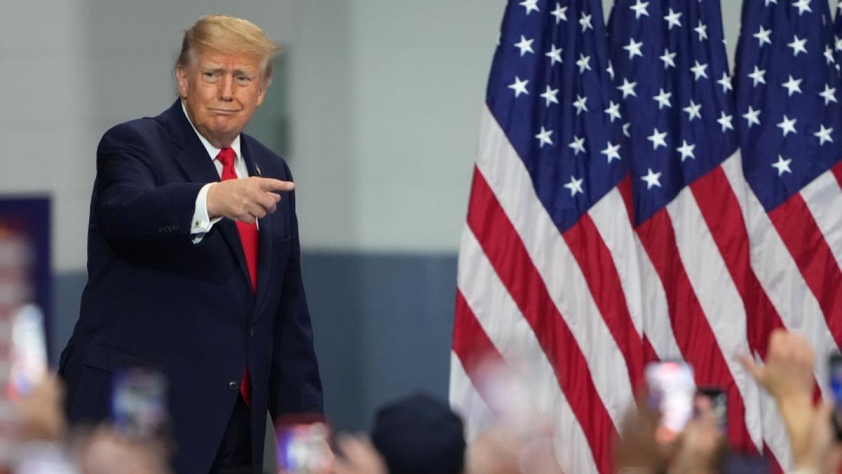 Donald Trump hat ein t&ouml;dliches Tiger-Video gepostet. (Foto)