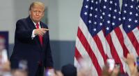 Donald Trump hat ein tödliches Tiger-Video gepostet.