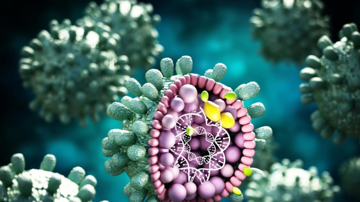 74 Kinder in Gro&szlig;britannien an Hepatitis erkrankt. Die WHO warnt vor weiteren F&auml;llen. (Symbolfoto) (Foto)
