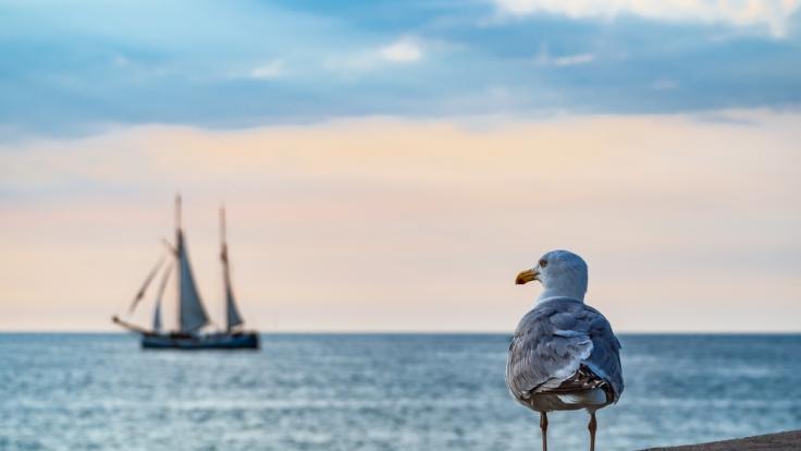 Auch an der Ost- und Nordsee müssen Corona-Regeln eingehalten werden.