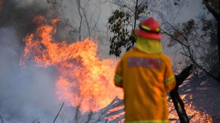 In Australien toben unzählige Buschfeuer.