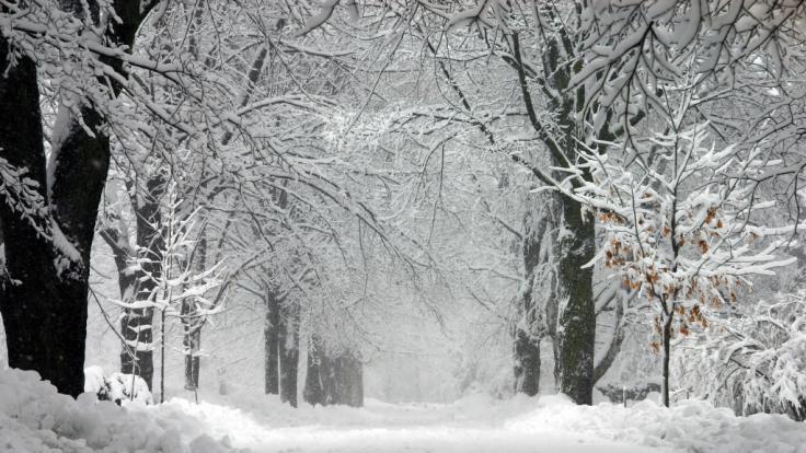 Ein seltenes Winter-Phänomen sorgte im US-Bundesstaat Vermont für Aufruhr.