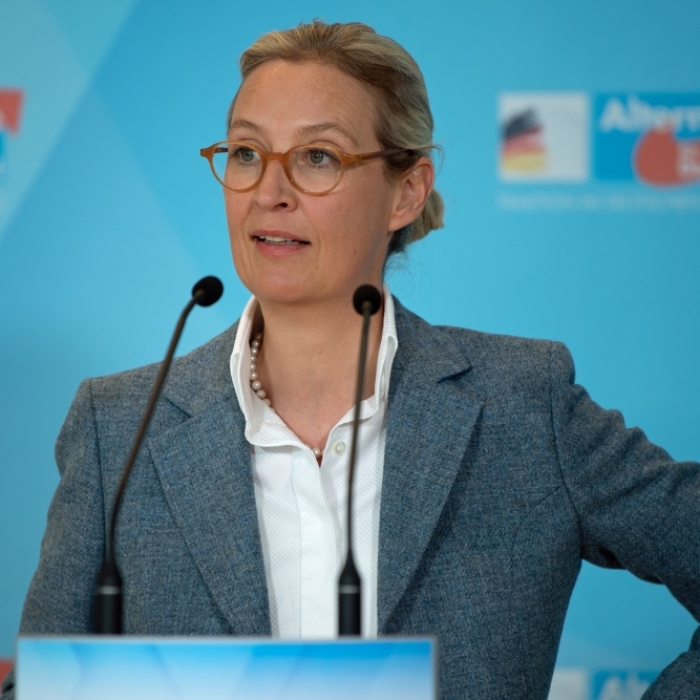 Weidel zu Klüssendorf: 