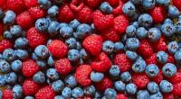 Tiefgeküht oder lieber frisch: Die Stiftung Warentest untersuchte Himbeeren und Heidebeeren.
