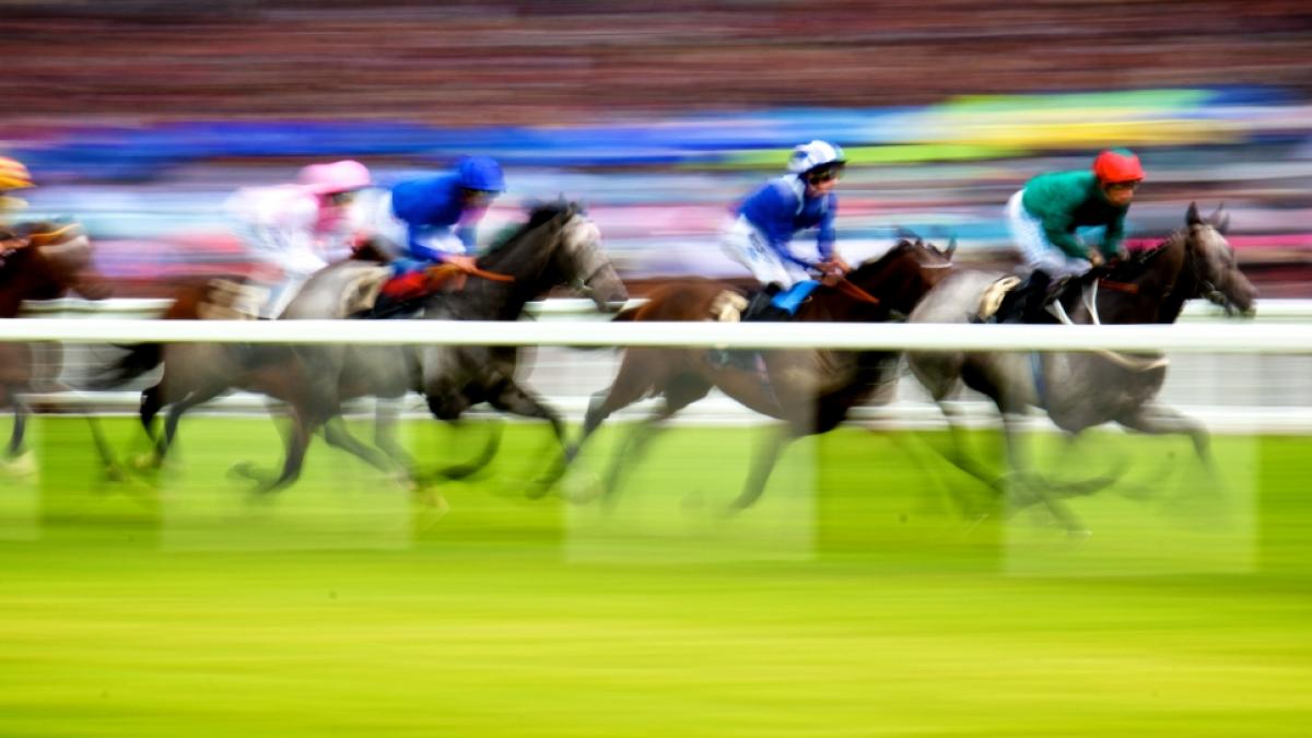 Bei einem Pferderennen in Sandown ist es zu einer schrecklichen Trag&ouml;die gekommen. (Symbolfoto) (Foto)