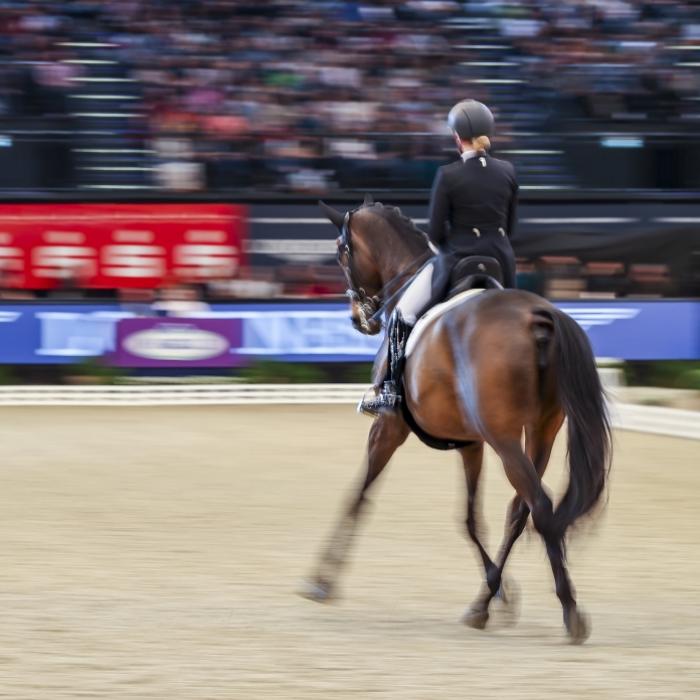 TV-Übertragung, Live-Stream und Ergebnisse zum FEI World Cup
