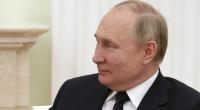 Wladimir Putin könnte mit Indien einen neuen Verbündeten gefunden haben.