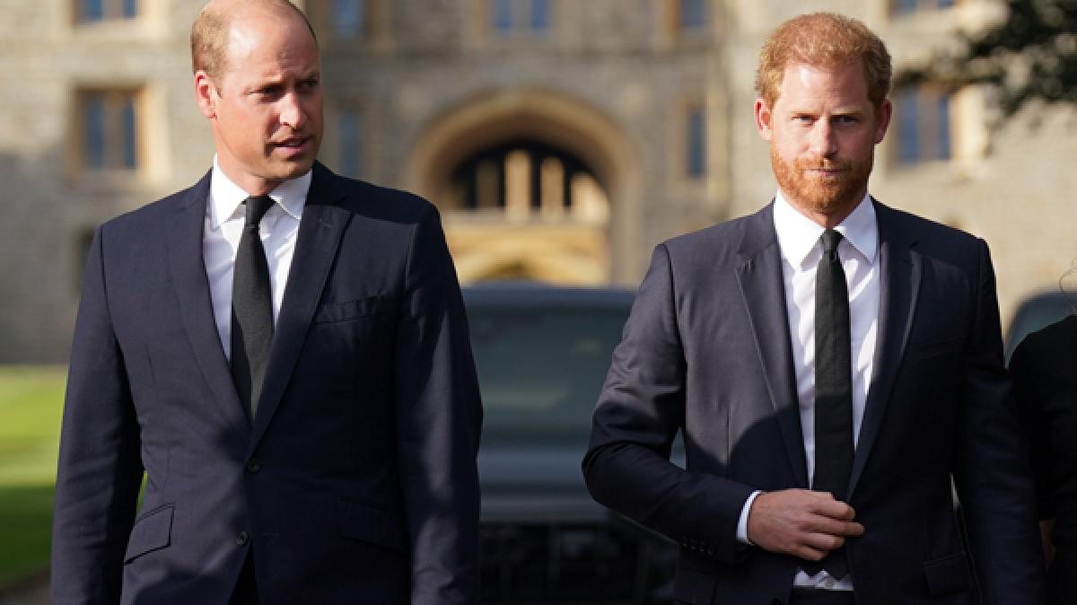 Bei den Prinzen William und Harry gab's aktuellen Royals-News zufolge Redebedarf - einen bestimmten Vertrauten wollten die Br&uuml;der unbedingt dabeihaben. (Foto)
