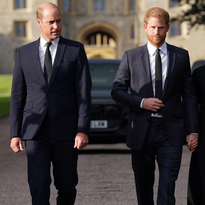 Gesprächsbedarf im Palast! William und Harry bitten zu Geheimtreffen