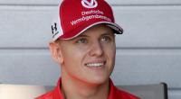 Mick Schumacher steht eine anspruchsvolle Saison in der Formel 2 bevor.