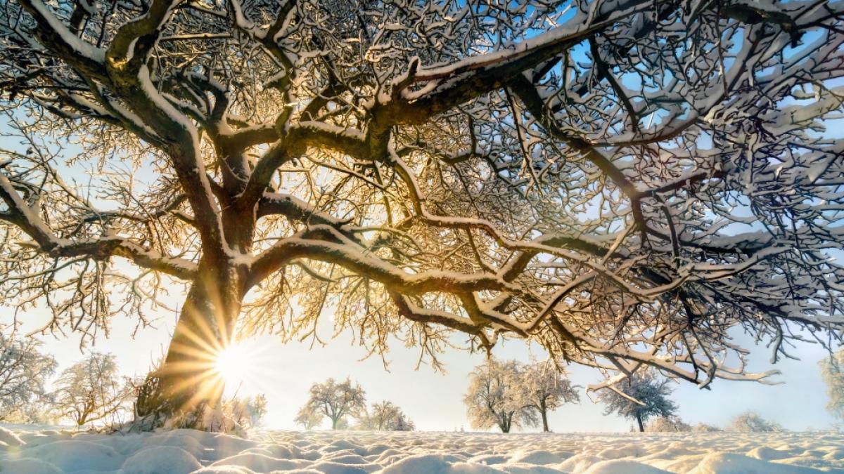 Wie wird das Wetter im Januar? (Foto)