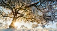 Wie wird das Wetter im Januar?