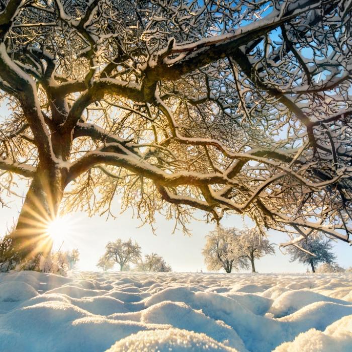 Bitterkalter Jahresbeginn? Das sagt der 100-jähriger Kalender voraus