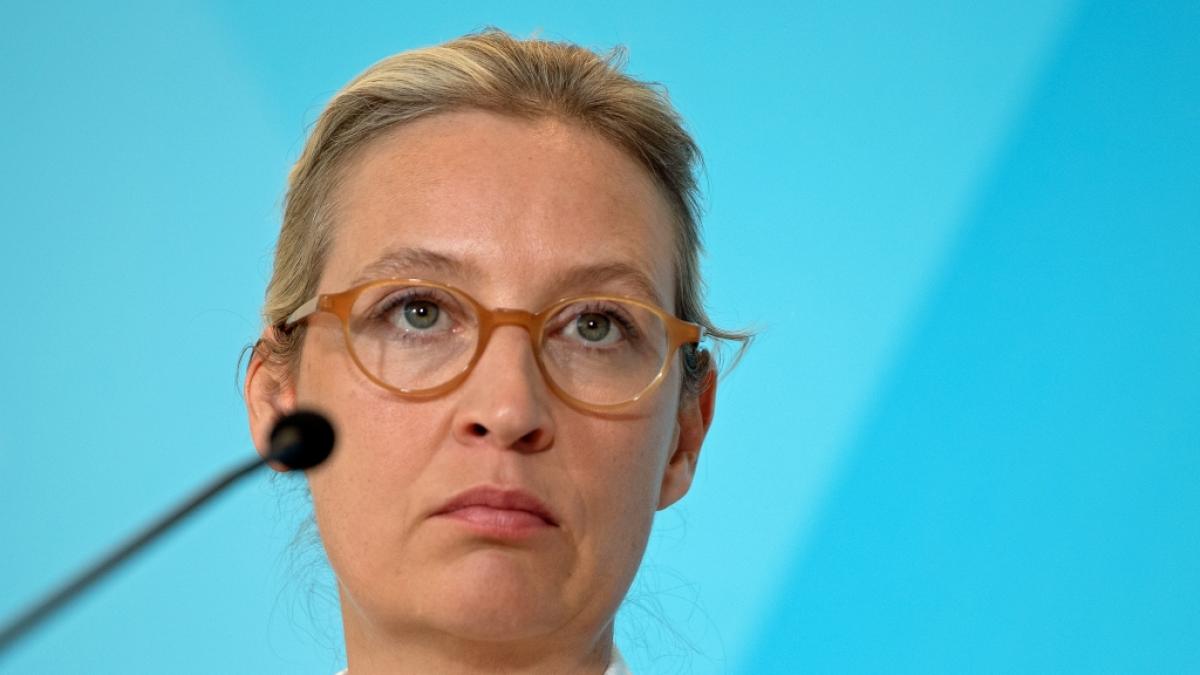 Br&uuml;skiert die AfD mit einem Gru&szlig; zum Vatertag etwa Parteivorsitzende Alice Weidel? (Foto)