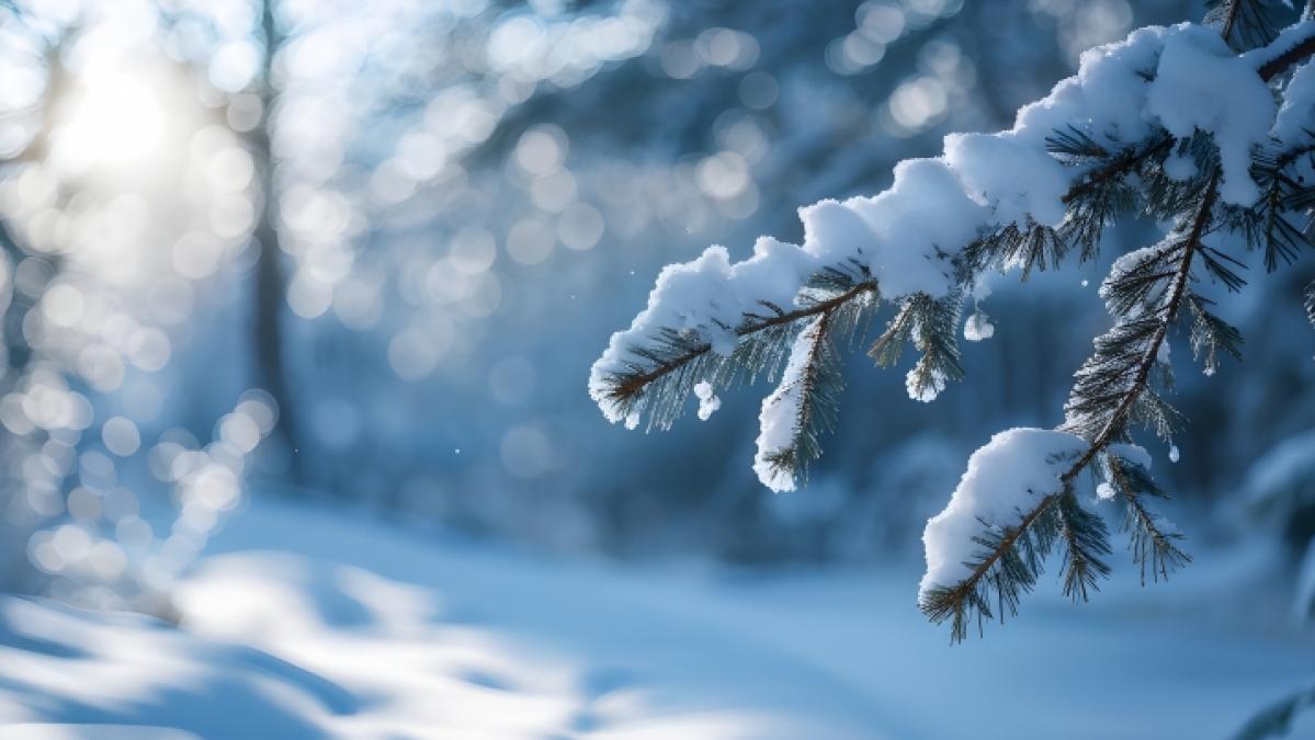 Wie soll das Wetter im Februar werden? (Foto)