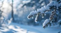 Wie soll das Wetter im Februar werden?
