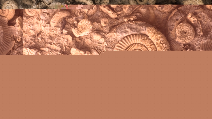 Was Archäologen in China ausgruben, stellte selbst erfahrene Paläonthologen vor ein Rätsel (Symbolbild).