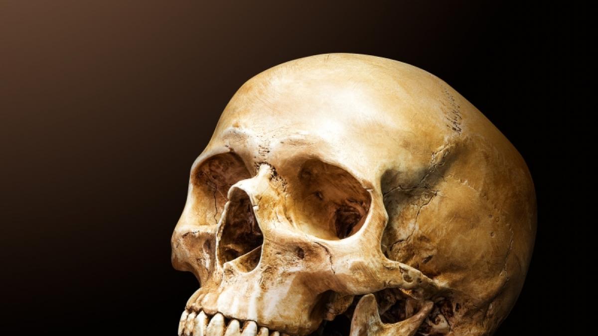 IN Australien haben Unbekannte Sch&auml;del und Knochen, f&uuml;r ein satanisches Ritual, aus Gr&auml;bern gestohlen. (Symbolfoto) (Foto)