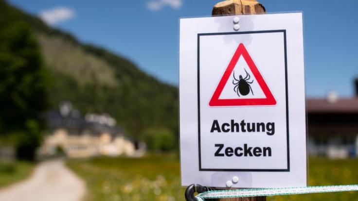 Wer so ein Schild beim Wandern sieht, sollte sich am Abend besonders gut nach Zecken absuchen.