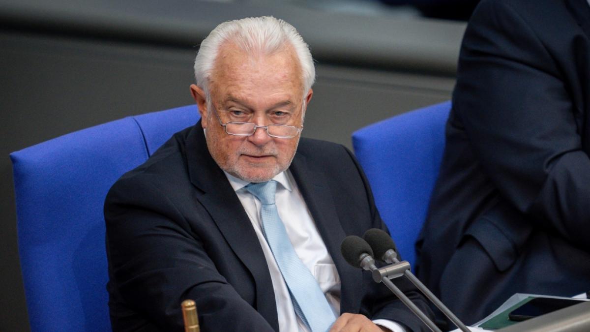 FDP-Vize Wolfgang Kubicki vergleicht Robert Habeck mit Wladimir Putin. (Foto)