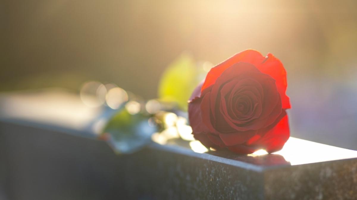 Die Trauer nach dem Tod von&nbsp;Carla Jeffery ist gro&szlig;. (Foto)