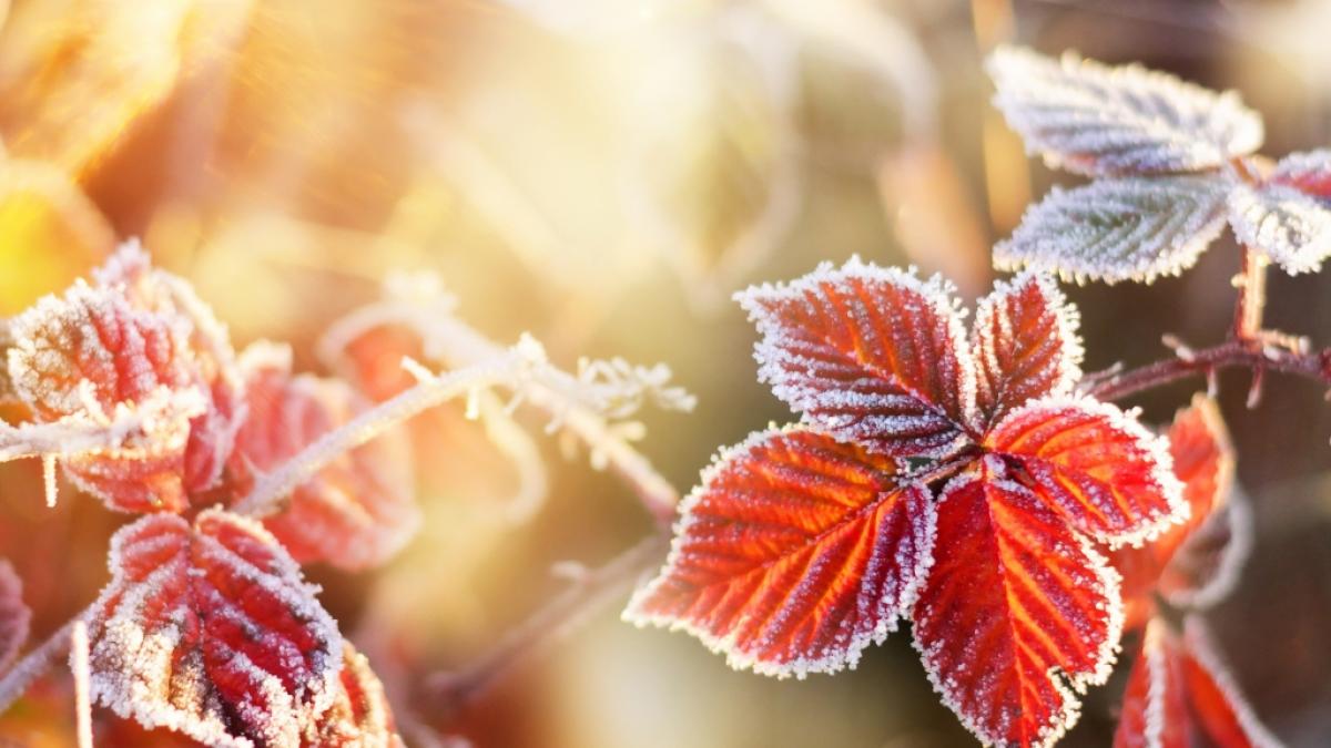Polarluft soll den goldenen Oktober endg&uuml;ltig beenden. (Foto)