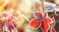 Polarluft soll den goldenen Oktober endgültig beenden.