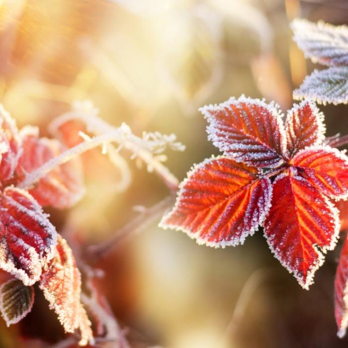 Polarluft-Klatsche! Krasser Temperatursturz killt Spätsommer