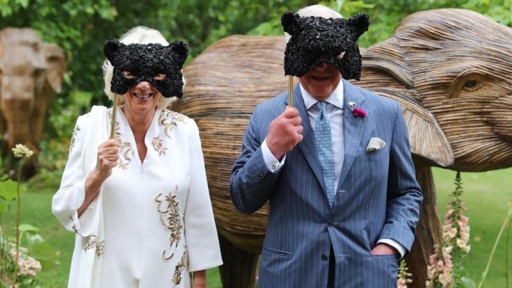 Camilla Parker-Bowles und Prinz Charles überraschten mit Panthermasken.