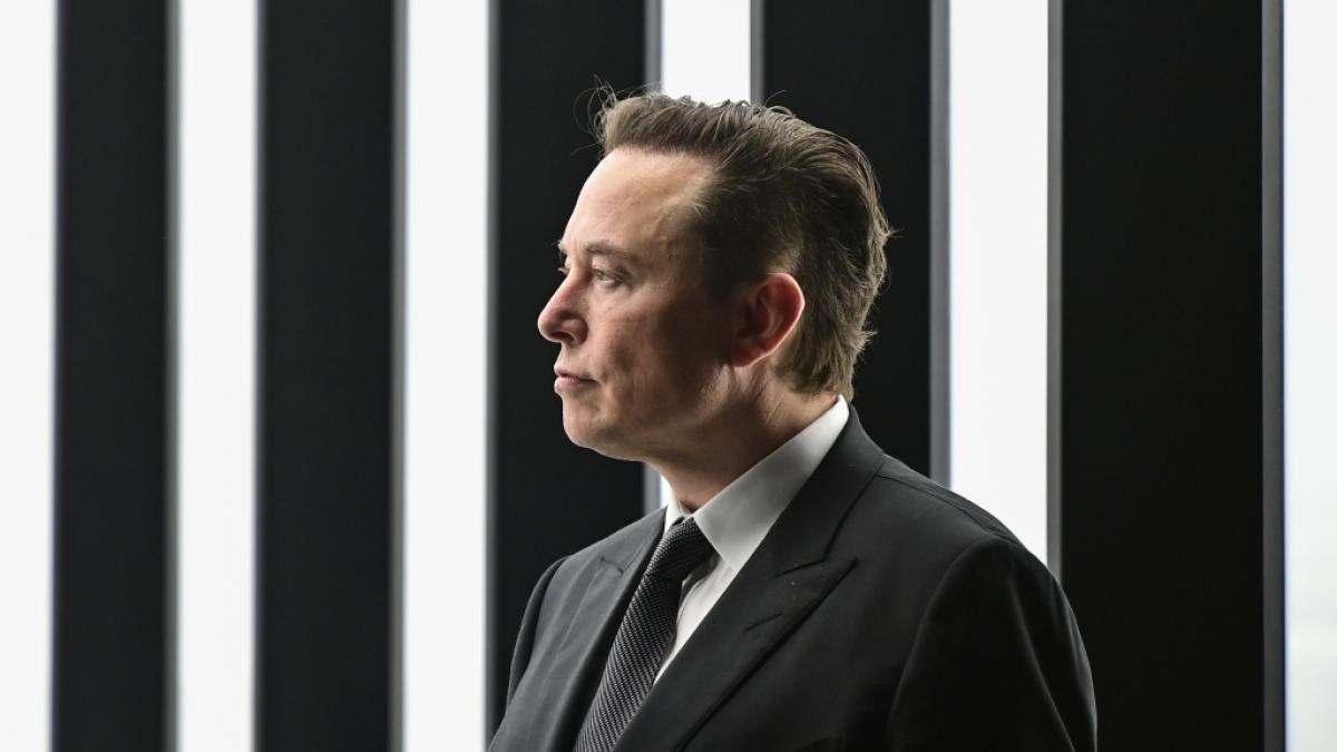 Elon Musk d&uuml;rfte von den neuen Enth&uuml;llungen seines Vaters wenig begeistert sein. (Foto)